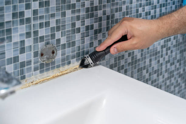 Best Attic Mold Removal  in Marshall, MI