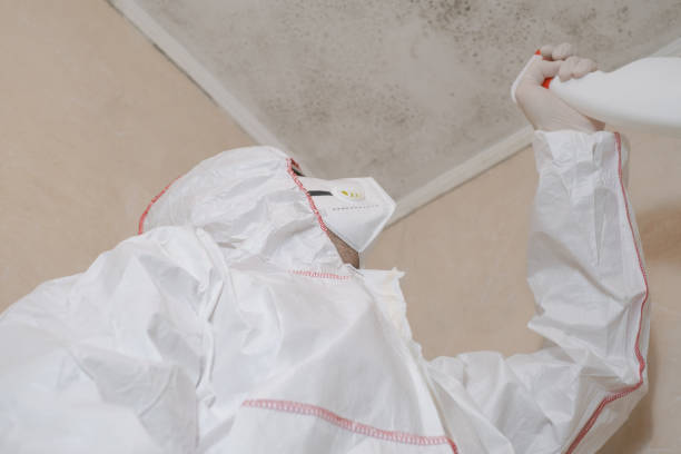 Best Mold Remediation  in Marshall, MI