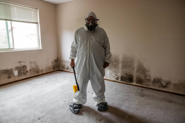 Best Commercial Mold Removal  in Marshall, MI